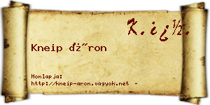 Kneip Áron névjegykártya